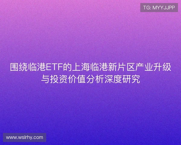 围绕临港ETF的上海临港新片区产业升级与投资价值分析深度研究 围绕临港ETF的上海临港新片区产业升级与投资价值分析深度研究